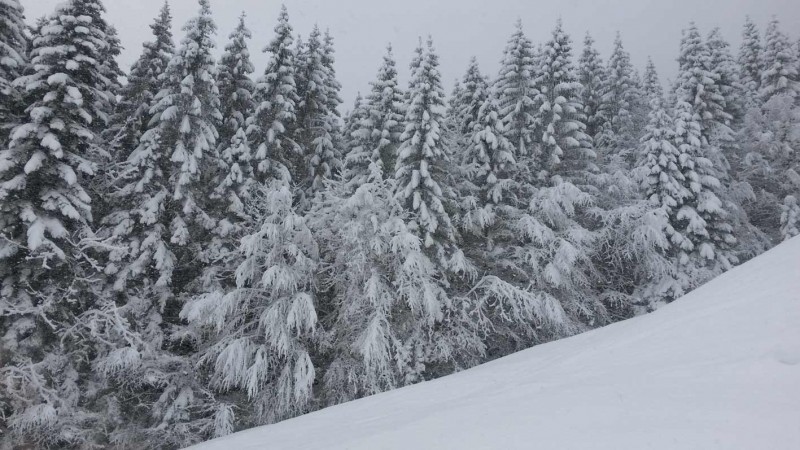 Nieuwe sneeuw voor het Salzburgerland! update uit het Salzburgerland