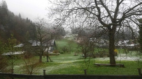 sneeuw !? update uit het Salzburgerland