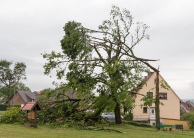 Afgelopen zondag grote schade in Minden (Duitsland), windhoos of valwind?