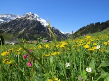 Alpen-Europa | Na regen komt zonneschijn (en warmte). Zondag lokaal tropisch