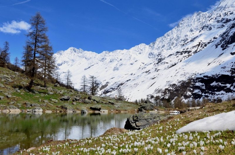 Alpen-Europa | Hoogtelaagje luidt zomers weekend in. Volgende week meer warmte in verschiet