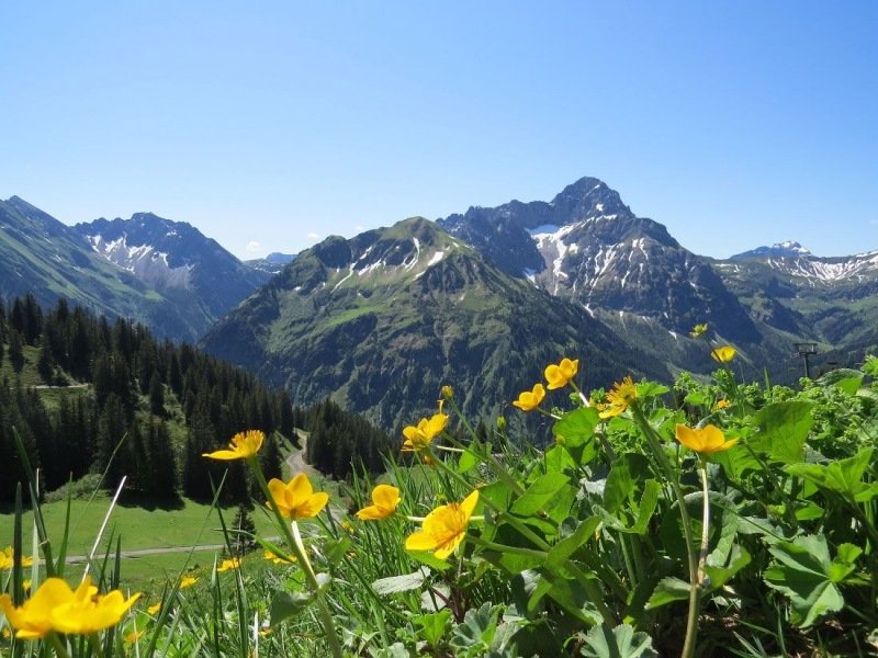Alpen-Europa | Toenemend wisselvallig - Markante afkoeling richting de Pinksteren