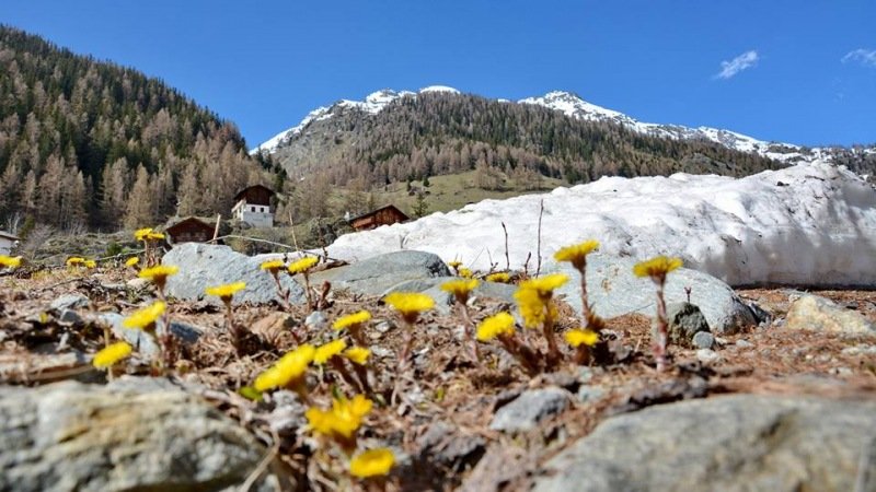 Alpen- Europa | Toenemende hogedruk, meer zon en verder oplopende temperaturen