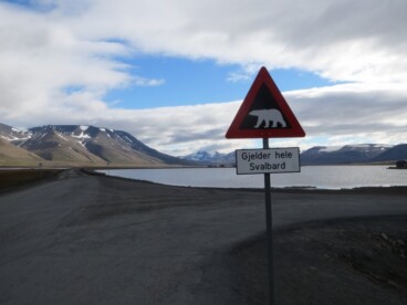 Blog - Roy Molenaar @ Spitsbergen | Glaciers and Melt Season Dynamics
