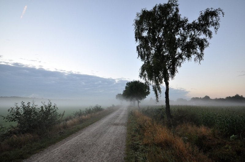 Lage Landen: aanhoudend rustig, in het weekend weer warm nazomerweer