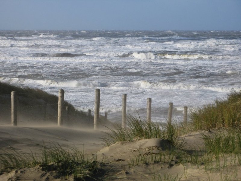 Lage Landen: vandaag storm aan de kust, vanaf dinsdag rustiger. Voor volgende week een sprankje hoop voor de winterliefhebber?