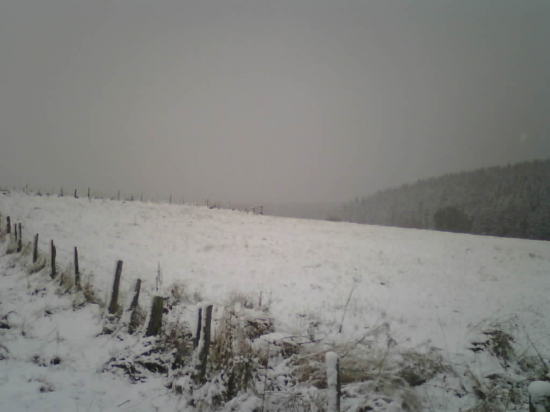In de Hoge Venen kleurde het gisteren wit. Dit webcambeeld is uit Mürringen via http://holfuy.com/