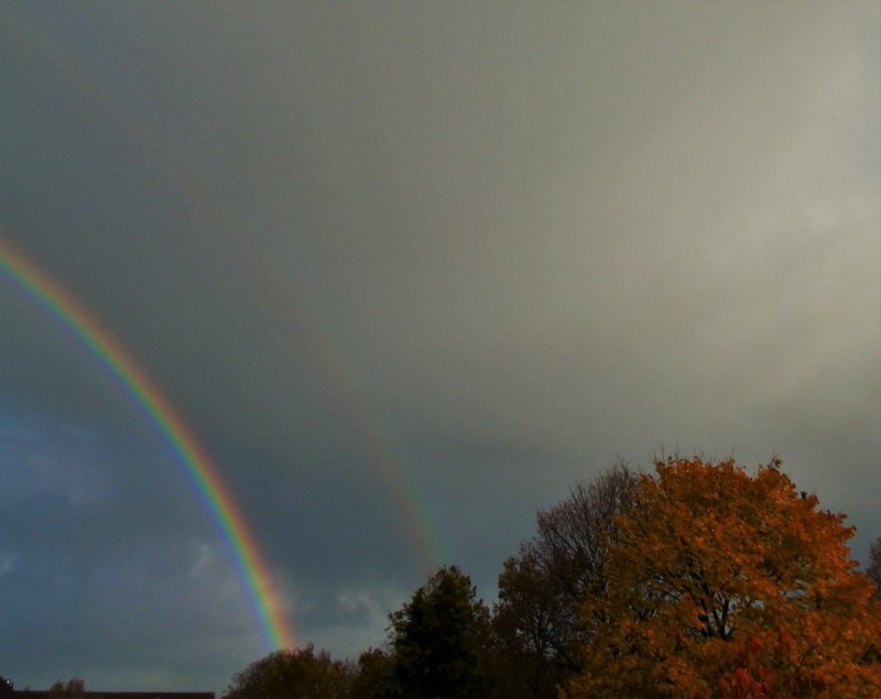 buien, maar ook zon en dat levert fraaie regenbogen op. Foto werd gemaakt in Stiens door @SevereWeather_N