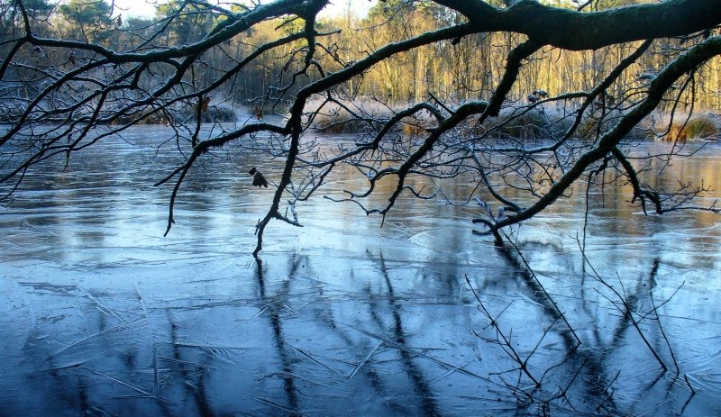 deze prachtige winterse foto werd gemaakt door Carel ten Hoor.