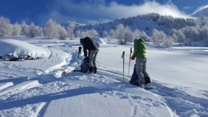 Alpen - Zeer koud winterweer, in noorden lokaal lichte sneeuw(buitjes)