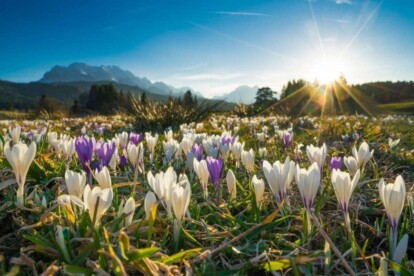 Alpen: uitzonderlijk 'zomers warm' weer met temperatuurrecords, ook april warm van start