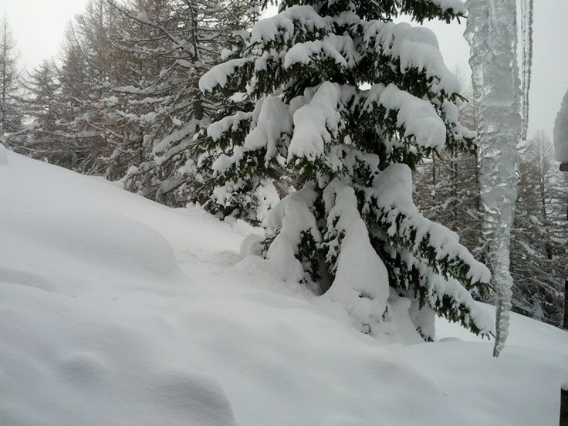 Alpen -  Kou en sneeuw in aantocht / Einschneien Alpen