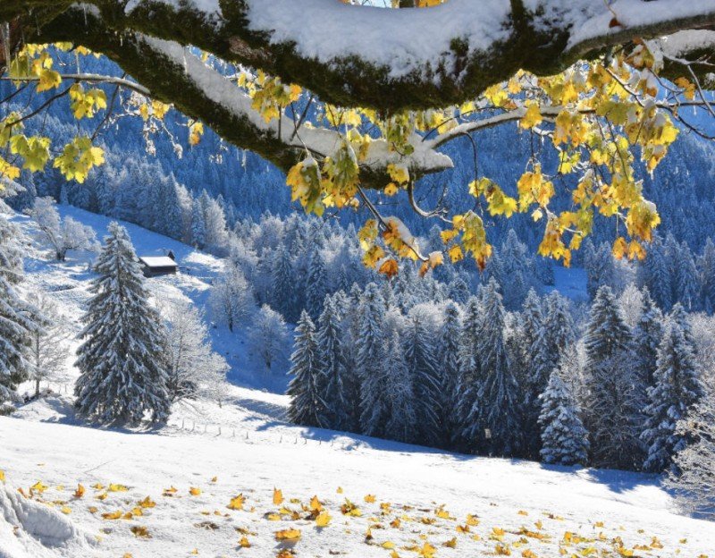 Alpen - Veel zon en wat zachter / Weekend winter intermezzo nr 3
