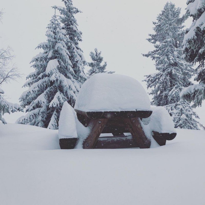 Alpen -  Weekend nieuwe winterinval / sneeuw ??