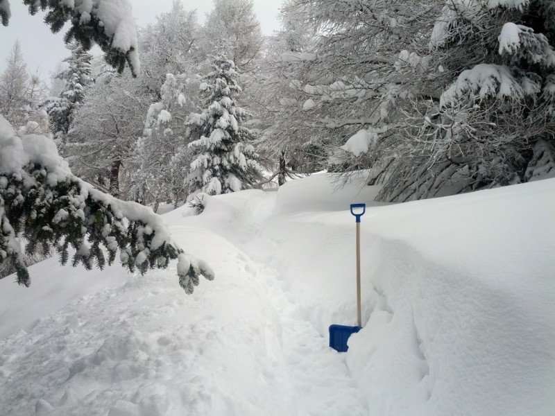 Alpen -  Vanaf zondag - waterballet versus sneeuwdump!