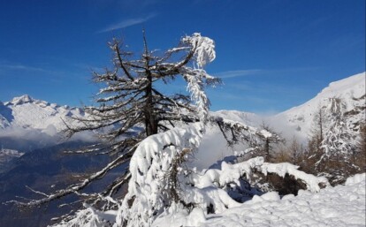 Alpen - Hogedruk, donderdag Südföhn. Vrijdag winter comeback