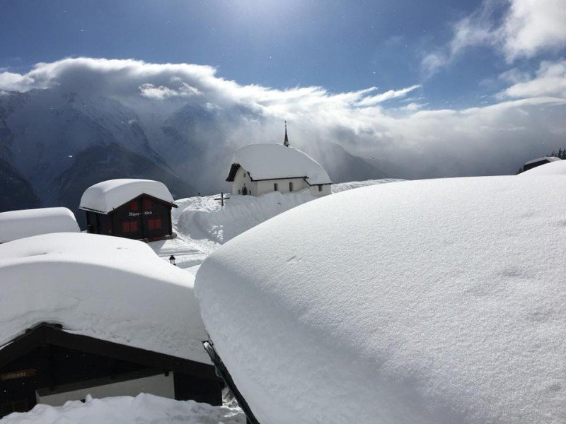 Alpen - Föhnige noorden, sneeuw zuiden / vorst afzwakking