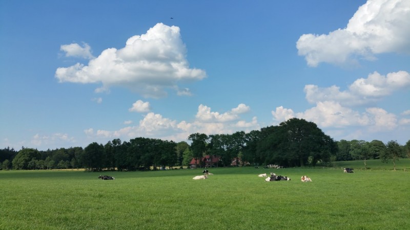 Lage Landen - Tijdelijk minder warm, maar volgende week weer zomers!