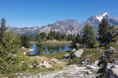 Alpen - Na dipje gewoon weer nazomeren