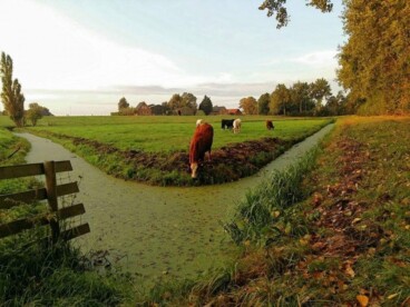 Lage Landen - De rode loper voor de oktoberzomer wordt uitgerold.