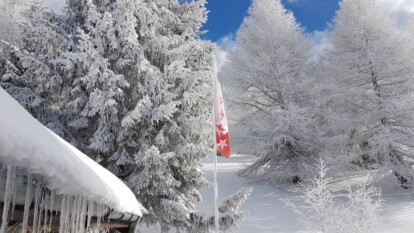 Alpen: Winterkou komt eraan. Koude weerfase met enkele sneeuwbuien