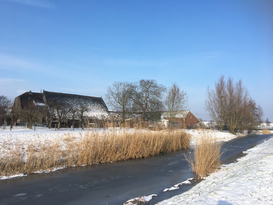 Lage Landen - Het blijft voorlopig koud, maar zaterdag tijdelijk boterzacht!