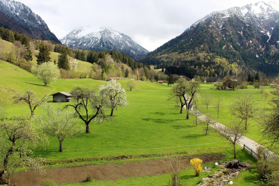 Alpen - Lente heeft het zwaar, tijdelijk zachter. Komend weekend opnieuw winters