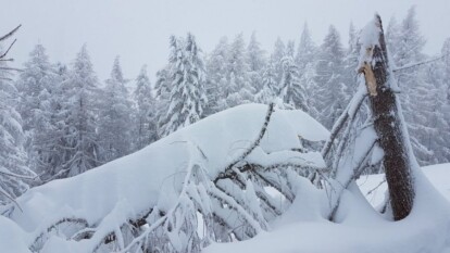 Alpen -  Veel neerslag / sneeuw Südstau verwacht