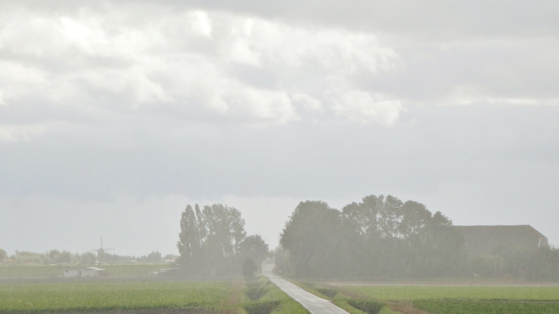 Lage Landen: natte vrijdag, morgen zowaar droog. Aanhoudend koud!