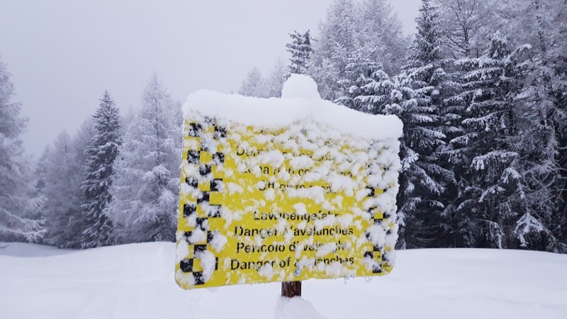 Alpen - Winterse speldenprikjes in aanloop naar een witte kerst ?!