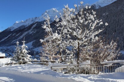 Alpen - Nogmaals tot een meter sneeuw in de Weststau regionen