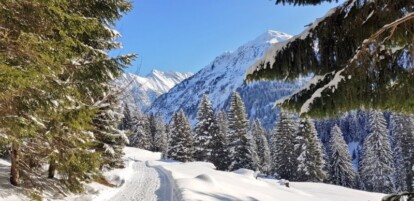Alpen -  Opwarmende hogedruk, vrijdag - zaterdag tijdelijk afnemend