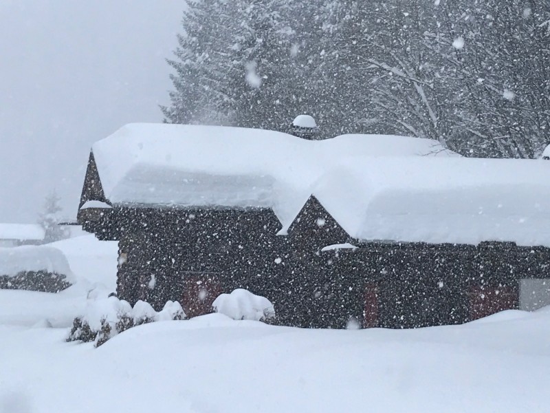 Intense sneeuwval tijdens de winterwandeling van Jacomien