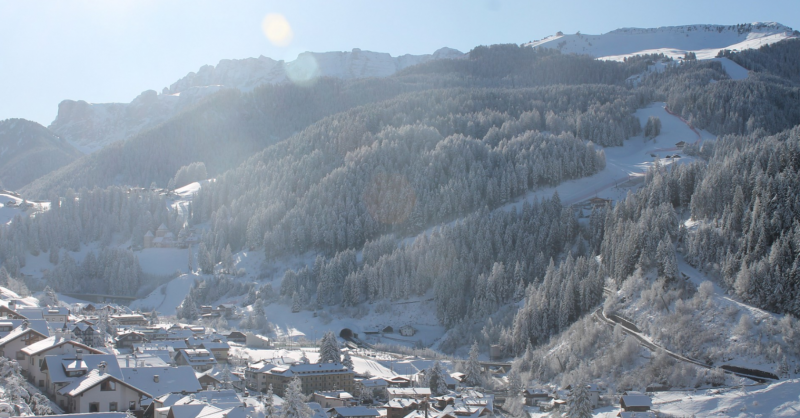 Alpen: terugkeer lente na winterse speldenprik