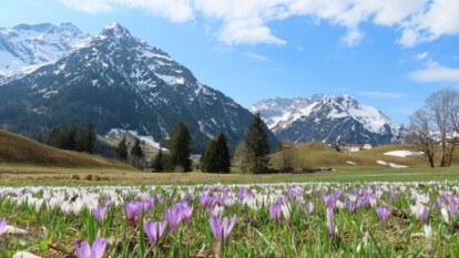 Alpen - Na lokale sneeuwval keert lente terug