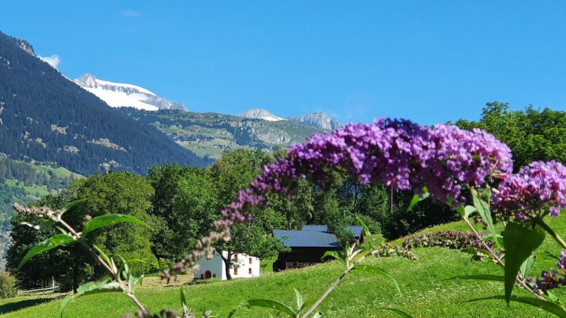 Alpen - Aanhoudend warm maar toenemend onstabiel(er) zomerweer