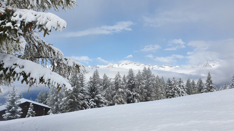 Alpen -  Als sneeuw voor de zon ....en Föhn