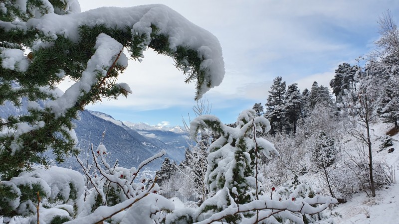 Alpen- Bakken met sneeuw gaan zuidzijde spannende tijd bezorgen