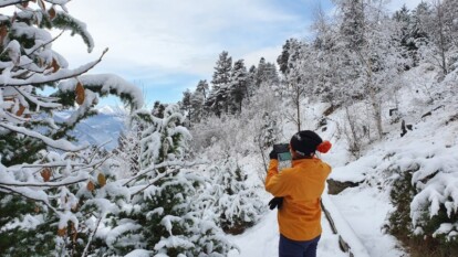 Alpen - Sneeuw impressie