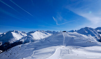 Alpen - Sneeuwbom met later ook zonnige momenten