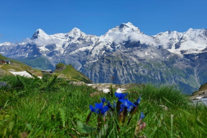 Alpen: zomers weer op komst, maar eerst nog buien