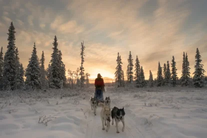 Reisverslag van een bijzondere wintervakantie in Scandinavië
