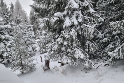 Alpen weerbericht | Koude dinsdag, warmere lucht en sneeuw weer onderweg