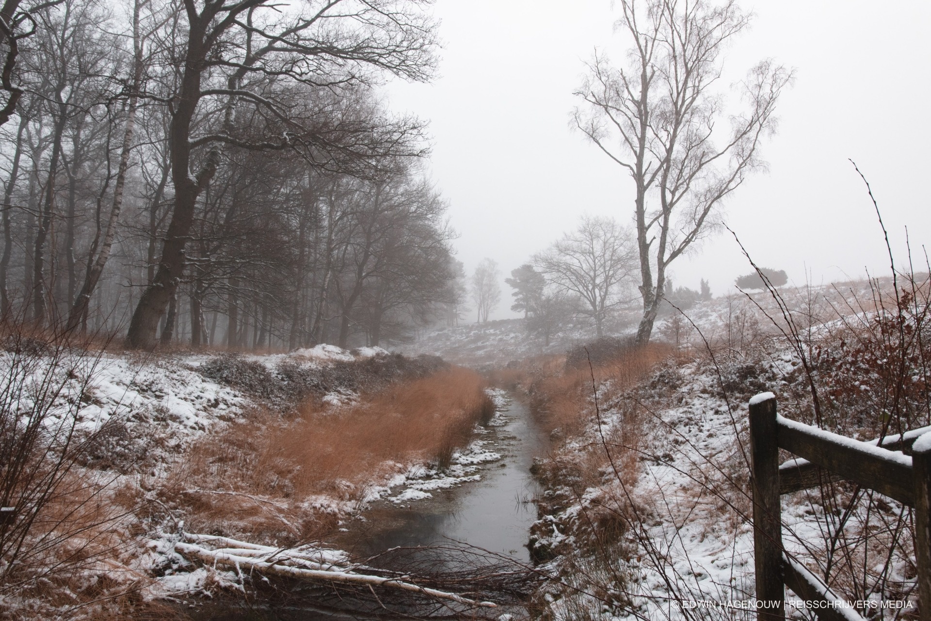 Benelux | Na herfstachtige zaterdag kansen op (natte) sneeuw