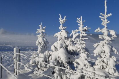 Alpen: een week met wisselend weer, winterinval in de maak vanaf vrijdag