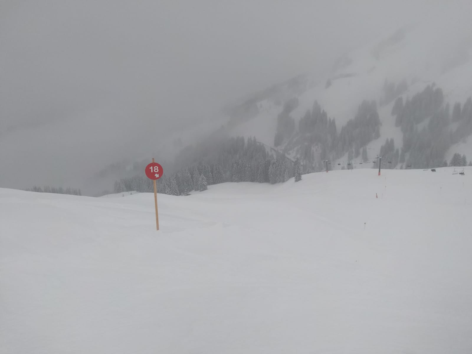 Alpen | Sneeuwchaos in Oostenrijk. Zonnig en koud winterweer volgt snel