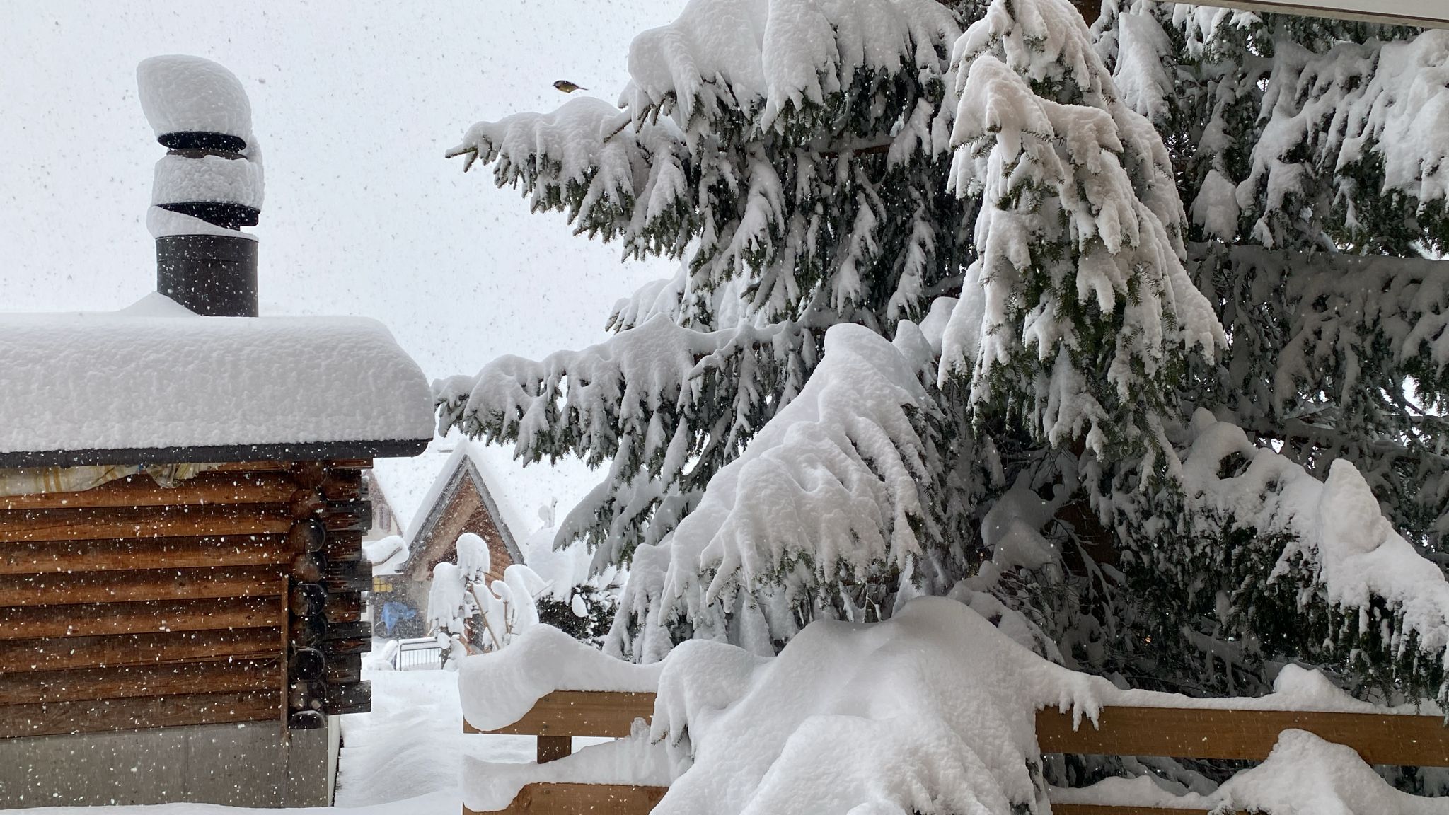 Alpen: winter keert terug met flinke laag sneeuw!